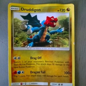 Pokemon Card Druddigon